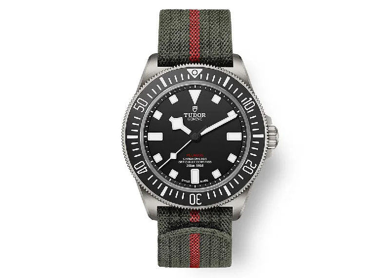 luxury men's watches with premium designs and high-tech functionality -Tudor Pelagos FXD 42mm 25717N Titanium Strap Black Dial